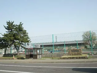 ノースタウン月寒【405号室】の周辺