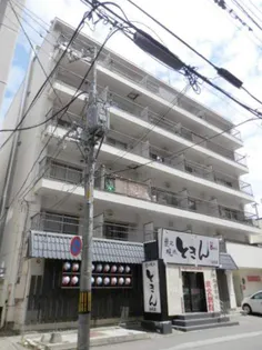 ビッグパレス白石の画像