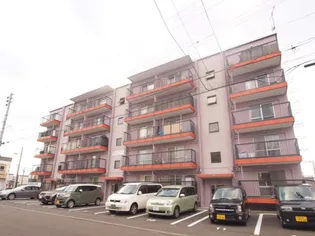 MS.MURAKAMI(マンションむらかみ)【502号室】の外観