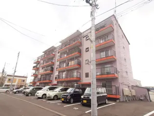 MS.MURAKAMI(マンションむらかみ)【502号室】の外観