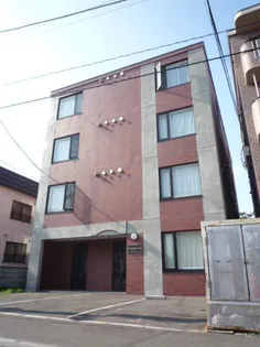 ジプソフィラの画像