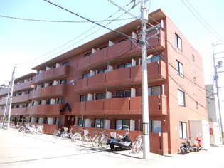 東洋ハイツ A棟【406号室】の外観