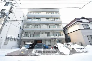 PICOTーN26の画像