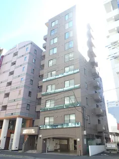 サザンフォレスト北大【8階】の外観