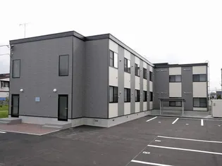 レオパレスKAZU【206号室】の外観