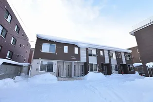 ミリオネールの画像