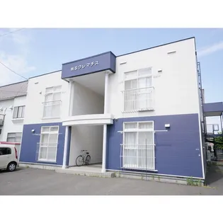 MSクレマチスの画像