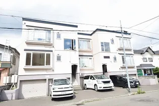 ダイヤコートN25の画像