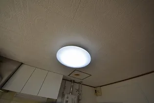 パルハイツⅠ【0007号室】の内装