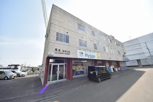 恵友エアリスの画像