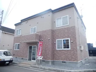 パープル桔梗の画像