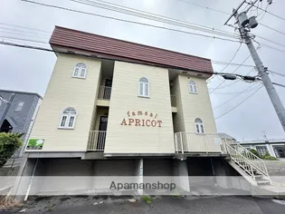 ファミールアプリコットの画像