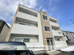 オリーブの画像