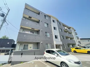 フィフティワンVOL Vの画像