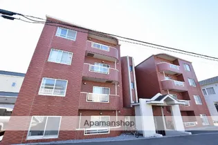 トータス亀田の画像