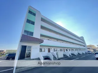 EW GRADEー1の画像