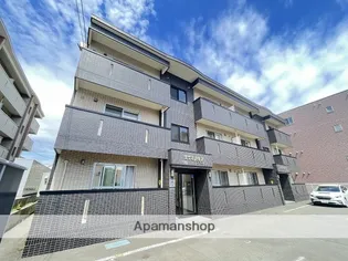 プテロンの画像