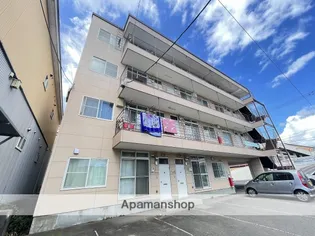 プラザ クリプトメリアの画像