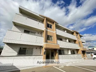 アンドルファンの画像