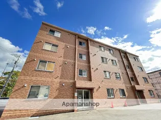 フェリモの画像