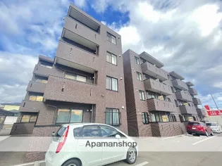 ZESTY MORIMACHIの画像