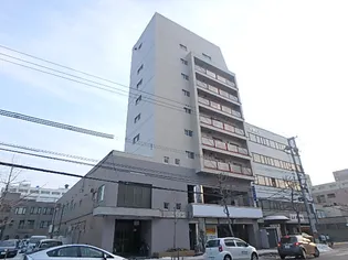 シティパレス菊水の画像