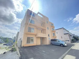 ノースフィラの画像