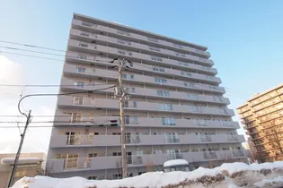 シャロームの画像