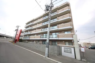 カーム平和の画像