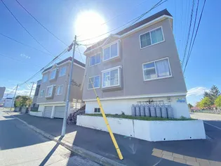 シェモア1の画像