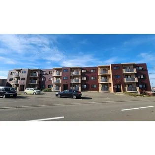 サウスウイングコート【206号室】の外観