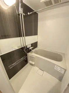 PREMIERーIST N.43(プレミアイスト エヌドット43【5階】の風呂