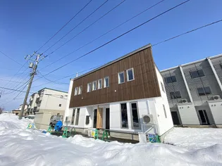 フリージアの画像