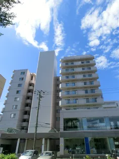 サンタの館医大前【8階】の外観