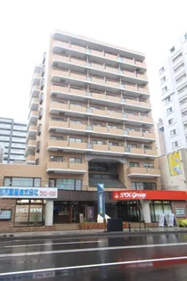 ニューライフ大通弐番館【607号室】の外観