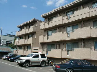 パインセントラルハイツの画像