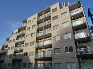 ドミ円山【505号室】の外観