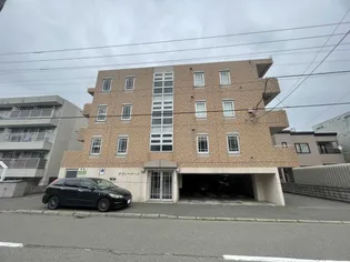 ラフィーコートの画像