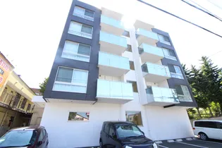 MーSELECTION STELLAの画像