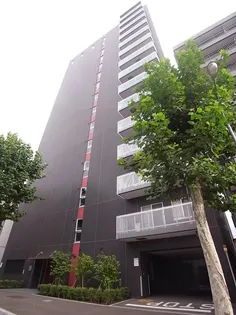 ビッグパレス南5条【15階】の外観