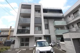 ドルチェの画像