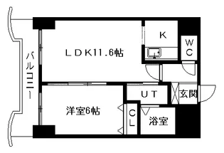 ティアラN5【6階】の間取り