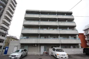 ドミニオン宮の森の画像