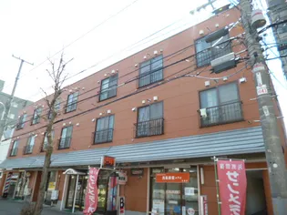 北海道札幌市中央区南十七条西8丁目【マンション】の外観