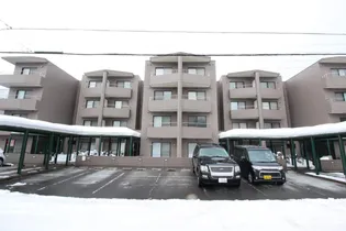 カピテーヌ円山【00201号室】の外観