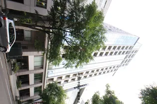 プライムメゾン大通公園【12階】の外観