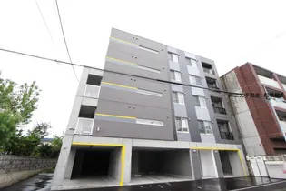 MーSTYLE STELLAの画像