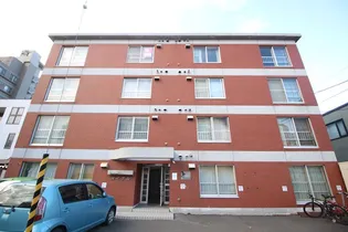 メイプルの画像