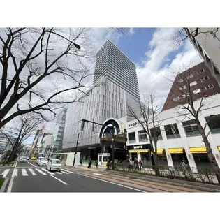 ライオンズタワー札幌【17階】の外観