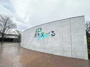 ALPHA平岸【2階】の周辺